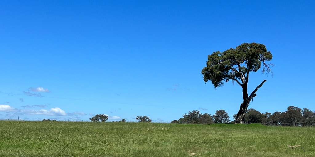 [Land for Sale] Tenterfield Rise Estate, Tenterfield OpenLot